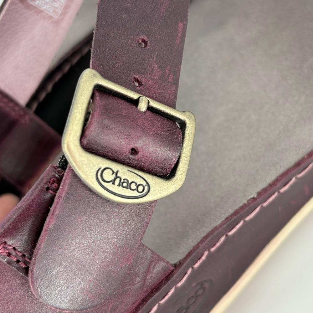 Chaco Leather Wayfarer Classic Z Sandal in Fig - Picture 11 of 15
